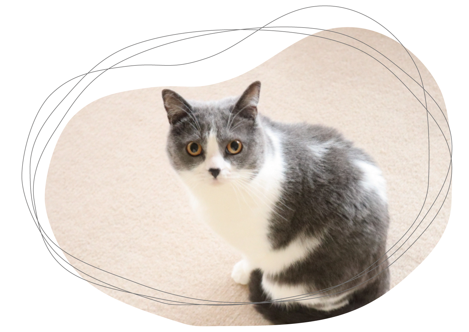 img20250613152927599097.png